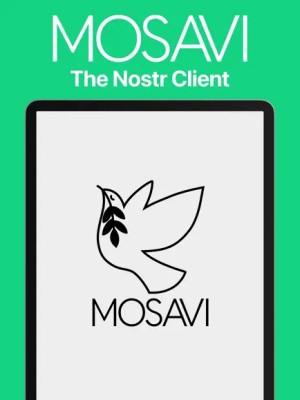 mosavi截图2