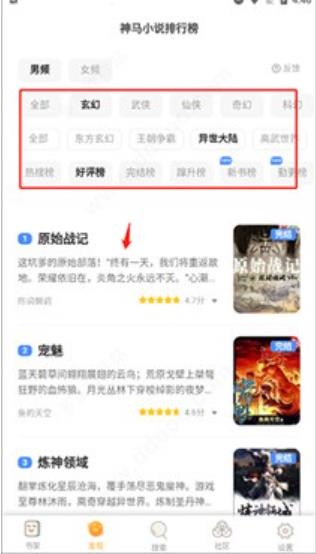 坏坏猫搜索可净化版本