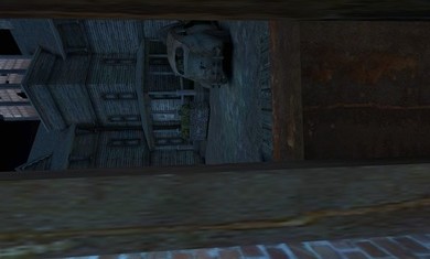 恐怖老奶奶3中文版截图1