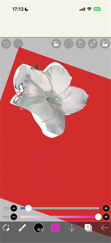 爱笔思画X