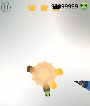 PigeonPop