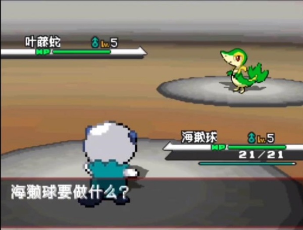 口袋妖怪黑白中文版
