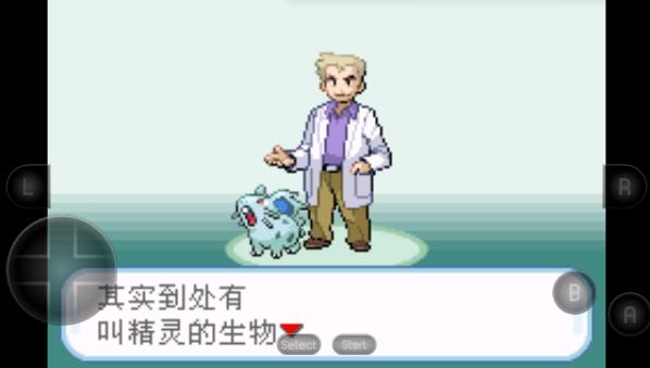 口袋妖怪暗之冰花