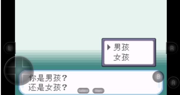 口袋妖怪暗之冰花