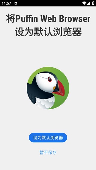 puffin浏览器安卓版
