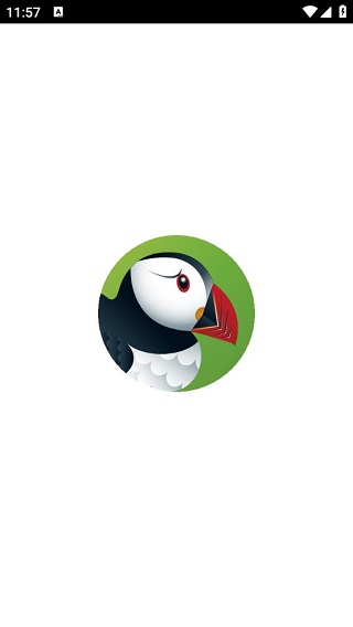 puffin浏览器安卓版