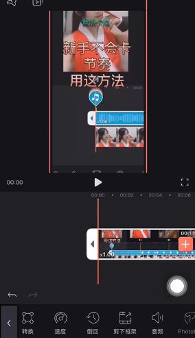 videoLeap