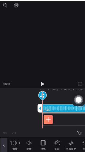 videoLeap