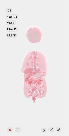 生命life