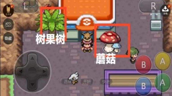 口袋妖怪蓝星4
