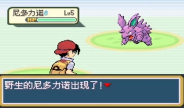 口袋妖怪日月宝石八木特别篇