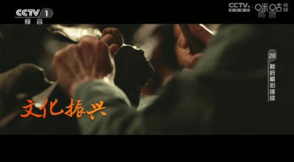 神鸟电视