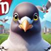 PigeonPop