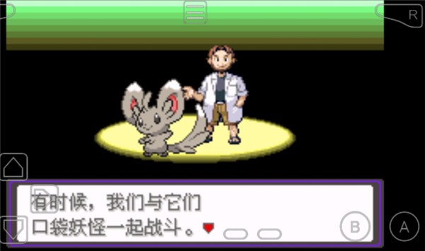 口袋妖怪漆黑的魅影5.0截图1