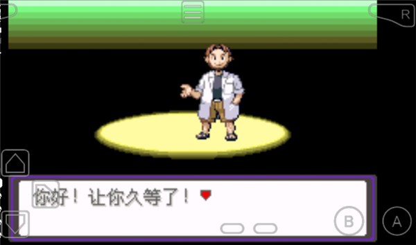 口袋妖怪漆黑的魅影5.0截图3