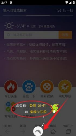海豚浏览器flash版