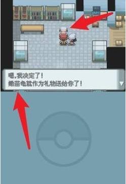口袋妖怪钻石珍珠