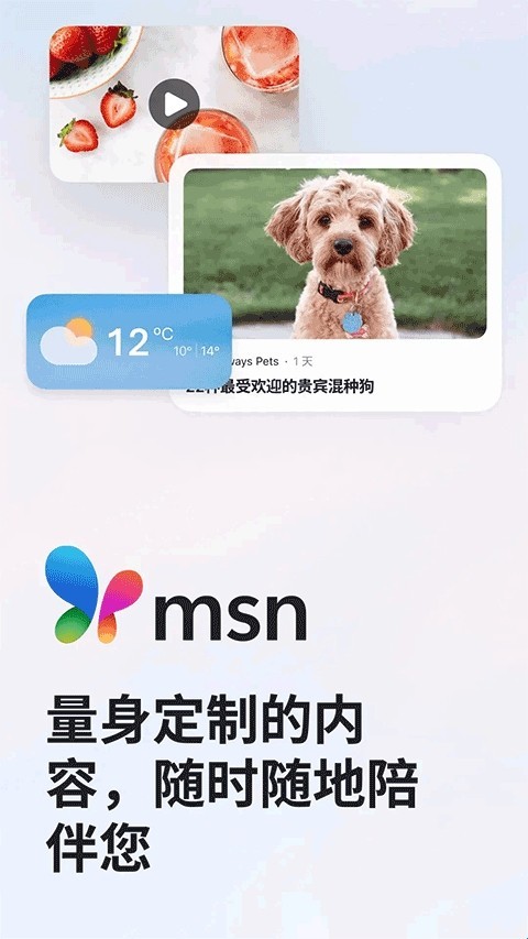 msn手机版截图1