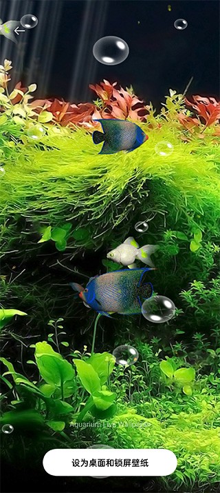水族馆动态壁纸汉化版截图2