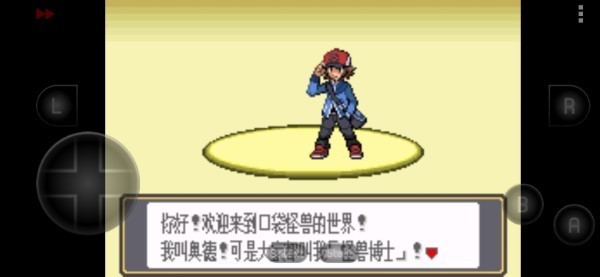 口袋妖怪黑白截图3