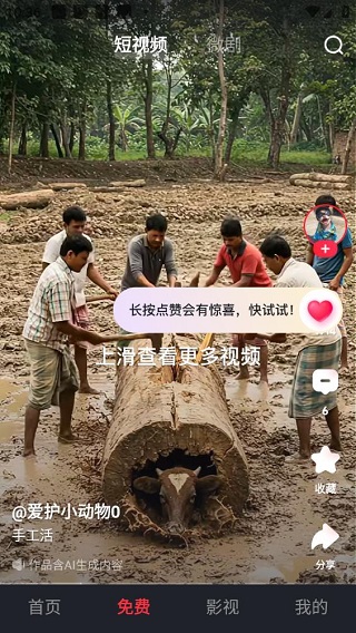 pps网络电视
