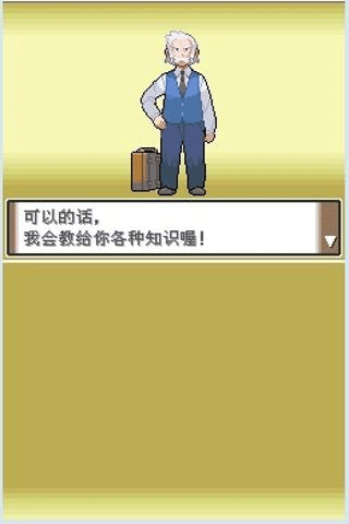 口袋妖怪白金截图4