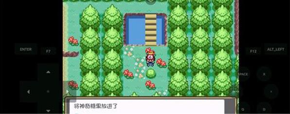 宝可梦燃之智