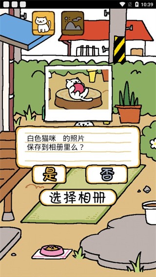 猫咪后院中文版截图4
