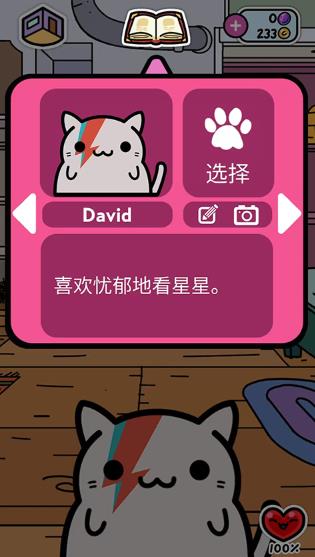 小偷猫