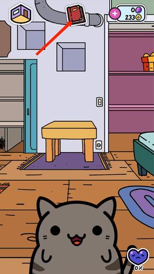 小偷猫