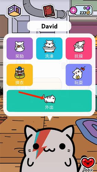小偷猫