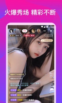 猫咪社区2.0截图3