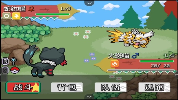 口袋妖怪轴芯