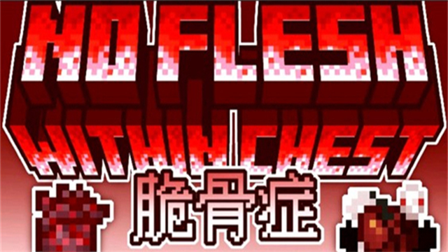我的世界脆骨症截图3