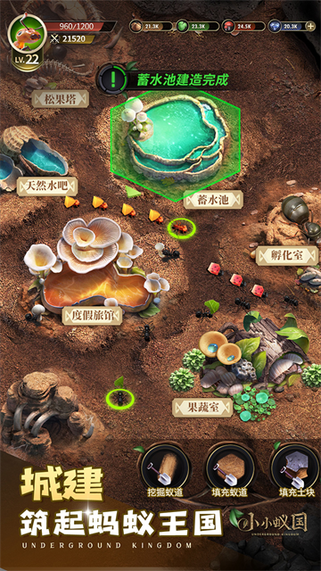 小小蚁国截图4