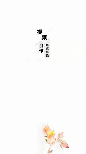 万能视频格式转换器截图4