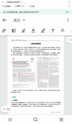 小绿鲸