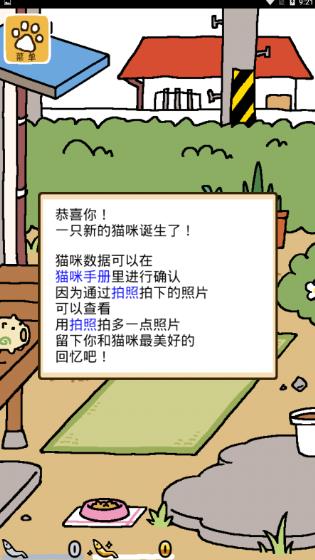 猫咪后院中文版
