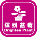 缤纷盆栽最新版