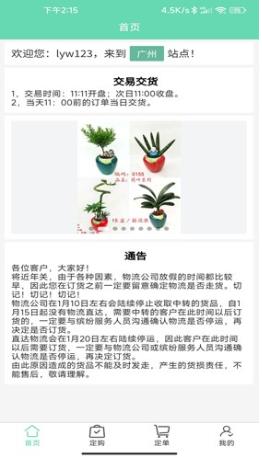 缤纷盆栽