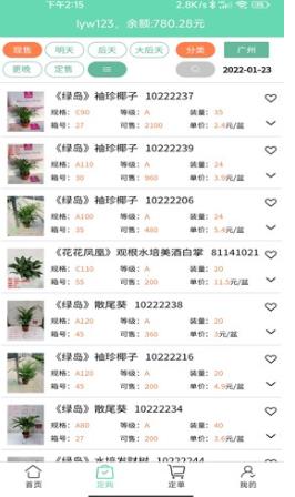 缤纷盆栽