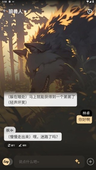 Saylo国际版截图2