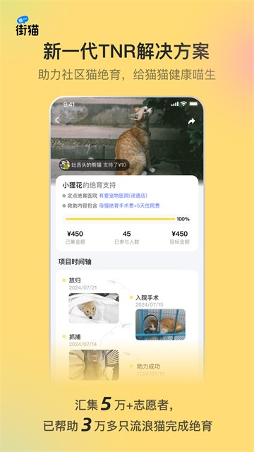 哈啰街猫截图2