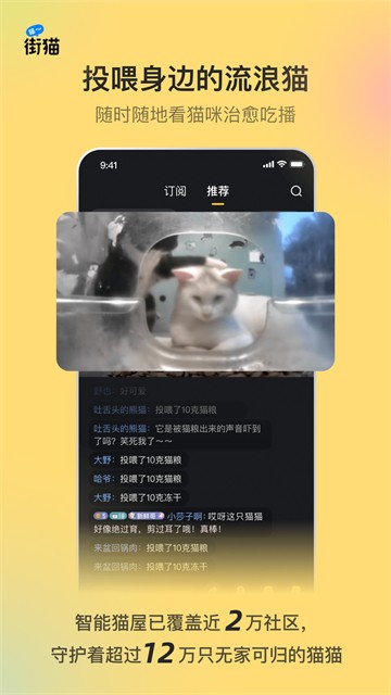 哈啰街猫截图3