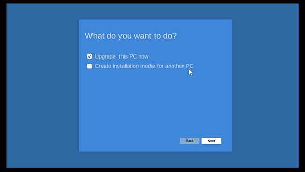 Windows11模拟器截图3