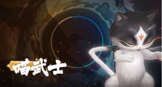 功夫之夜