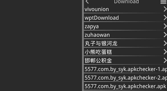 丸子与银河龙