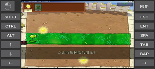 植物大战僵尸95版原版