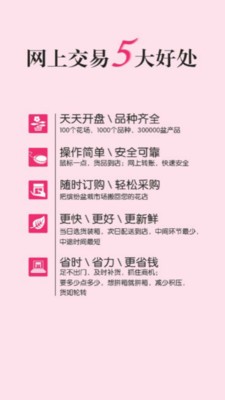 缤纷盆栽截图3