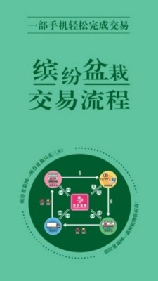 缤纷盆栽截图4